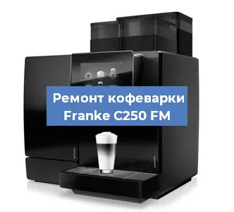 Чистка кофемашины Franke C250 FM от накипи в Новосибирске